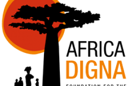 Africa Digna foundation UndergraduateScholarship,