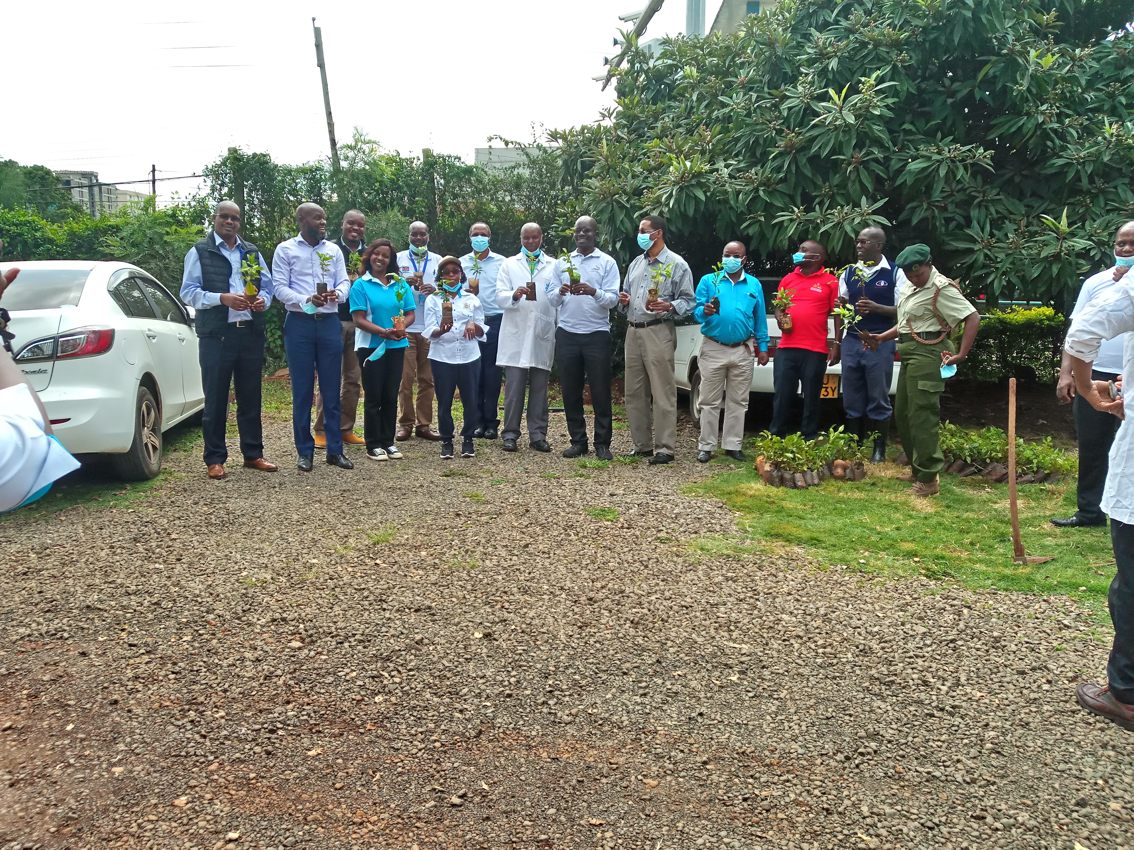 School of Law Participates in University wide Tree Planting Programme.