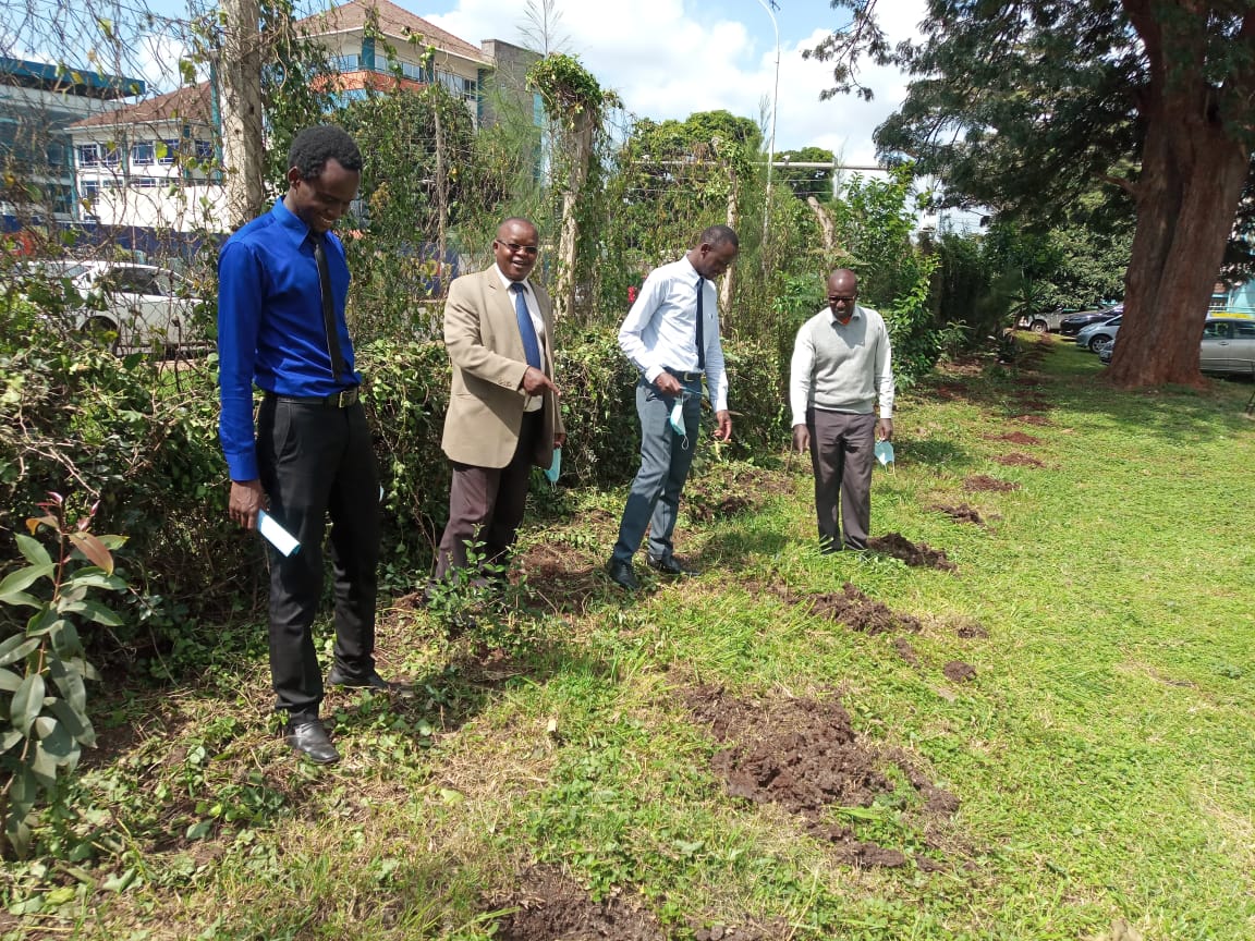 Inspection of the School of Law's readiness to plant trees 