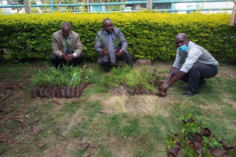 School of Law prepares for tree planting exercise to be held on 18 May 2021